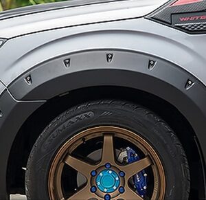 DODİK (ÇAMURLUK KABARTMA)